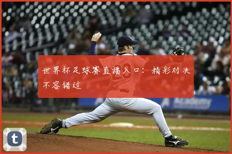 世界杯足球赛直播入口：精彩对决不容错过