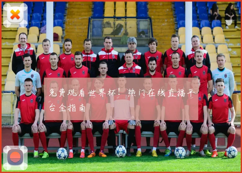 免费观看世界杯!热门在线直播平台全指南
